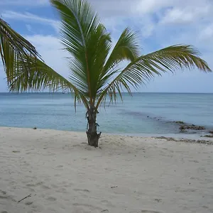 Hotel Bayahibe Hotel